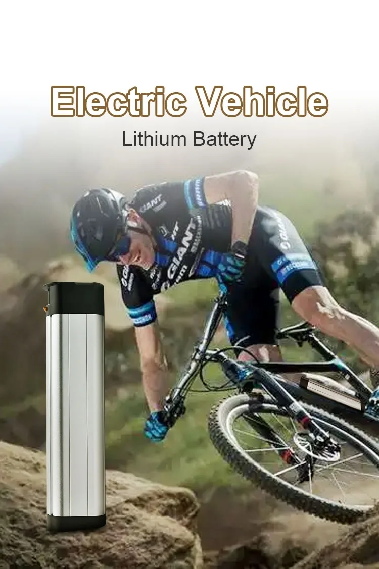 GEB 36V 10Ah Ebike Battery - High Performance Lithium Ion